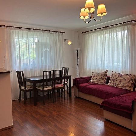 Vila De Inchiriat Aproape De Therme Balotesti Kültér fotó